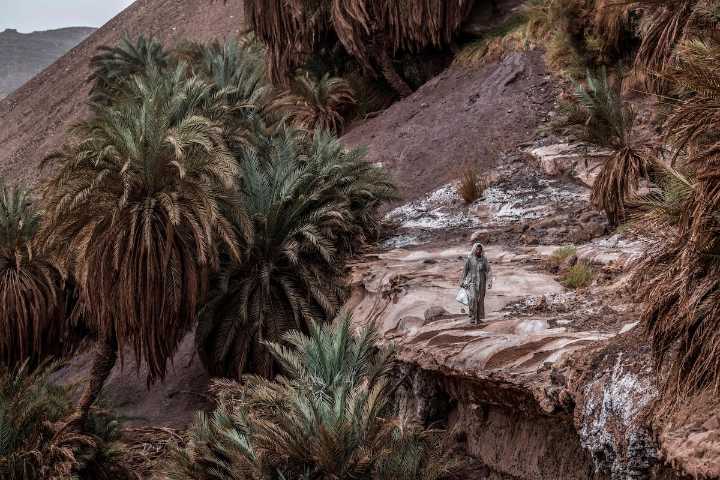 Egypt builds its military presence in the Sinai as Israel threatens to empty Gaza of Palestinians