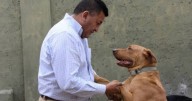 En Rosario de Lerma comienza a funcionar, de manera gratuita, un móvil de castración adquirido por la gestión municipal
