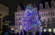 NYS seeks spruce tree donation for Capitol holiday display