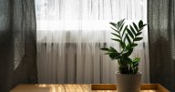 Cómo elegir cortinas para cada ambiente: tejidos, colores y trucos para lograr armonía