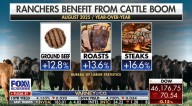 Fox Business Highlights Skyrocketing Beef Prices
