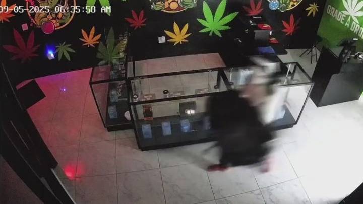 Pasadena dispensary burglar cuts through walls to steals safe