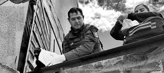 POLICÍA AMBIENTAL RESCATA GATITA ATRAPADA
