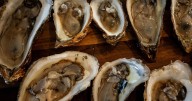 Ottawa limits movement of oysters in Atlantic Canada, Quebec to limit disease spread