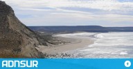 20:09 Liberaron a dos lobos marinos atrapados en una red de pesca en Comodoro: ¿Cómo actuar ante estos casos?