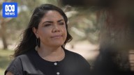 Australia's richest person among hundreds of donors to NT senator's legal fund