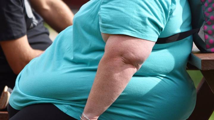 Científicos españoles descubren una nueva vía para tratar la obesidad aprovechando la grasa y sin dejar de comer