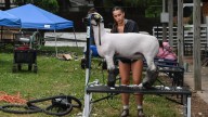 Eaton County to cut staff, eliminate 4-H funding among $8.4M in cuts