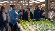 Usuarias de INDAP potencian sus emprendimientos con nuevos invernaderos