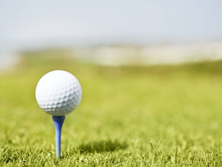 Canadian father shot dead during a golf trip to the U.S.: reports
