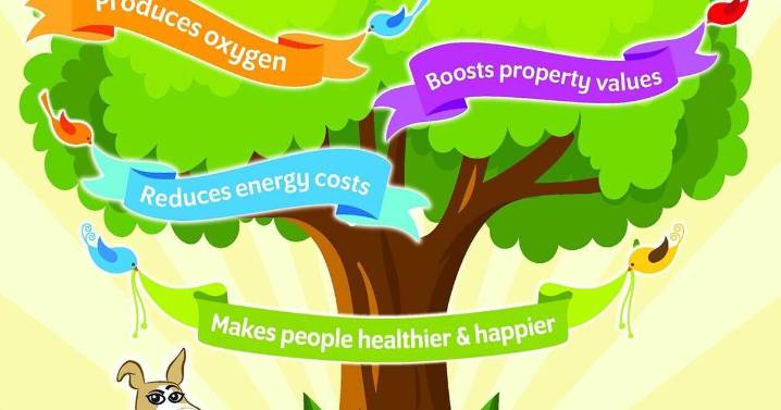 5 Reasons Trees Are Tops