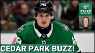 Can Toby Peterson REPLICATE Neil Graham's Success with Texas Stars?