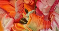 Be more colorful with PAA's Open Studio Tour