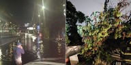Así fue la fuerte tormenta en Coyoacán CDMX que provocó inundaciones y caída de árboles