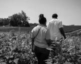 Departamento de Agricultura de los Estados Unidos retira apoyo clave a agricultores Afro