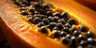 Cómo consumir semillas de papaya para proteger el hígado, mejorar la digestión y regular el colesterol
