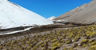 Minera gana disputa contra santuario que protegía las fuentes de agua de Monte Patria, la comuna con más desplazados climáticos