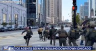 Chicago Delivery Guy Yells ‘F*ck Trump!’, Pedals Away As ICE Agents Give Chase