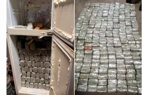 Decomisan 300 kg de marihuana en Granjas Cerro Grande