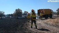 La Junta de Extremadura desmiente la falta de personal en el Plan Infoex y que haya habido jornadas "extremas"