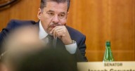 Top Democrat says lawmakers 'could have done a better job' in establishing oversight for CYFD