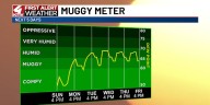 Warmer, more humid days ahead