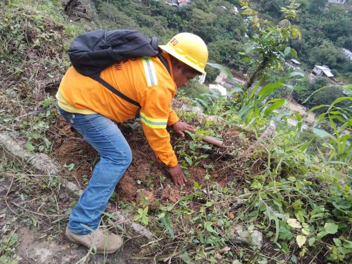 Realiza Coesfo jornada de reforestación en San Isidro Huayápam