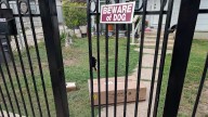 Dog bites Amazon driver on chest, hands while delivering package on Southwest Side, ACS says