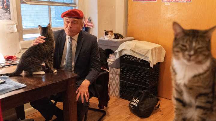 Trump dismisses cat-loving NYC Republican candidate for mayor as 'not exactly prime time'