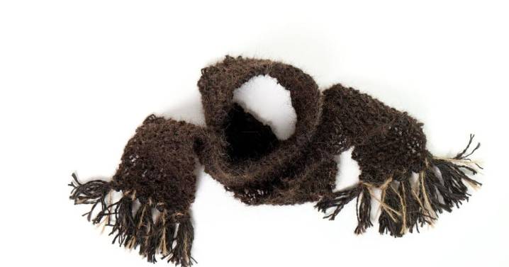 PETA founder reignites Vogue beef by gifting Anna Wintour human hair scarf
