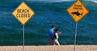 Australia: surfista muere tras ataque de tiburón y autoridades son obligadas a cerrar varias playas