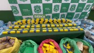 Decomisan más de 780 kilos de droga en operativo llevado a cabo en la Ruta 5 Norte