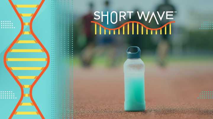 Salt? Electrolytes? Gatorade? What it takes to stay hydrated : Short Wave : NPR