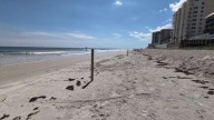 Volusia County prepares for Imelda’s impacts on coastal projects