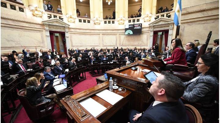 Ley de Discapacidad: el Senado buscará rechazar el veto de Milei este jueves