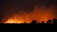 Haryana Government Intensifies Drive Against Stubble Burning Ahead Of Harvest Season