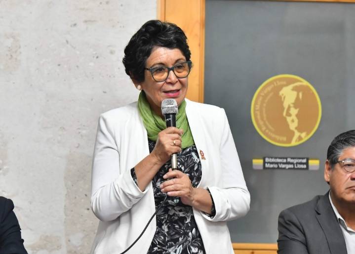 Consejeros sesionan el martes 02 para debatir autorización de viaje de vicegobernadora Gutierrez a Chile