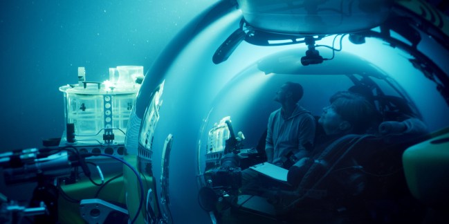 'A Life Illuminated' Review: Documentary About Bioluminescence