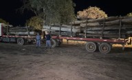 Secuestraron 26 toneladas de quebracho y un arma modificada sin documentación