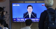 Hundreds of South Koreans arrested in a US immigration raid are being sent home