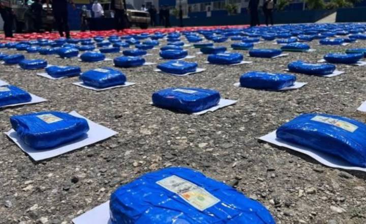 PNB incauta casi una tonelada de marihuana en Lara