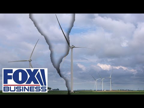 The ‘DEVASTATING’ impact of offshore wind farms, board member explains