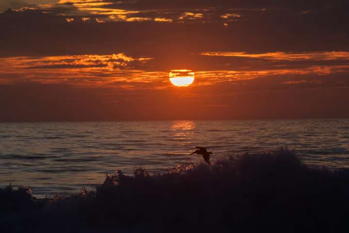 Tijuana se despide del día con un atardecer que solo el Pacífico puede regalar
