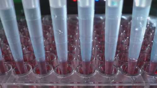 Montgomery County Sheriff's Office joins rapid DNA technology pilot program for faster crime solving