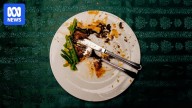 Erin Patterson's guilty verdict over a death cap mushroom lunch brings her trial to an end