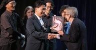 ¿Pintar vacas con rayas previene picaduras de moscas? Autores de ese estudio ganan premio Ig Nobel