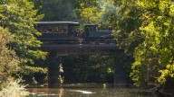 A bordo de un tren de vapor por el corazón de Gipuzkoa