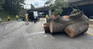 Truck crash closed I-95 near Richmond's Bryan Park