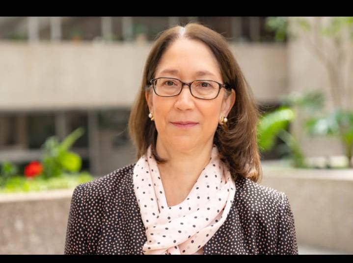 Eligen a Ana Covarrubias como nueva presidenta de El Colegio de México