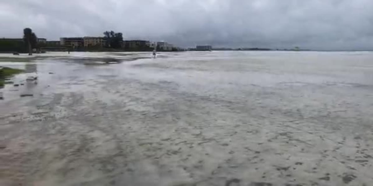 Sarasota man identified in recent drowning off Siesta Key, deputies say